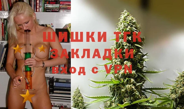 дурь Богданович