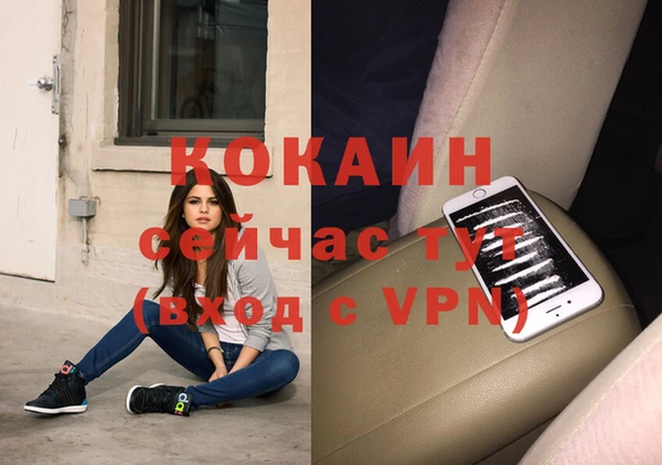 дурь Богданович
