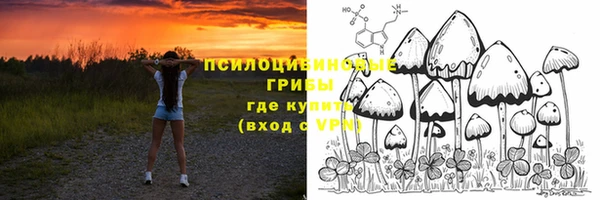 дурь Богданович