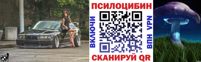 MEGA как зайти Северо-Курильск Псилоцибиновые грибы Psilocybine cubensis